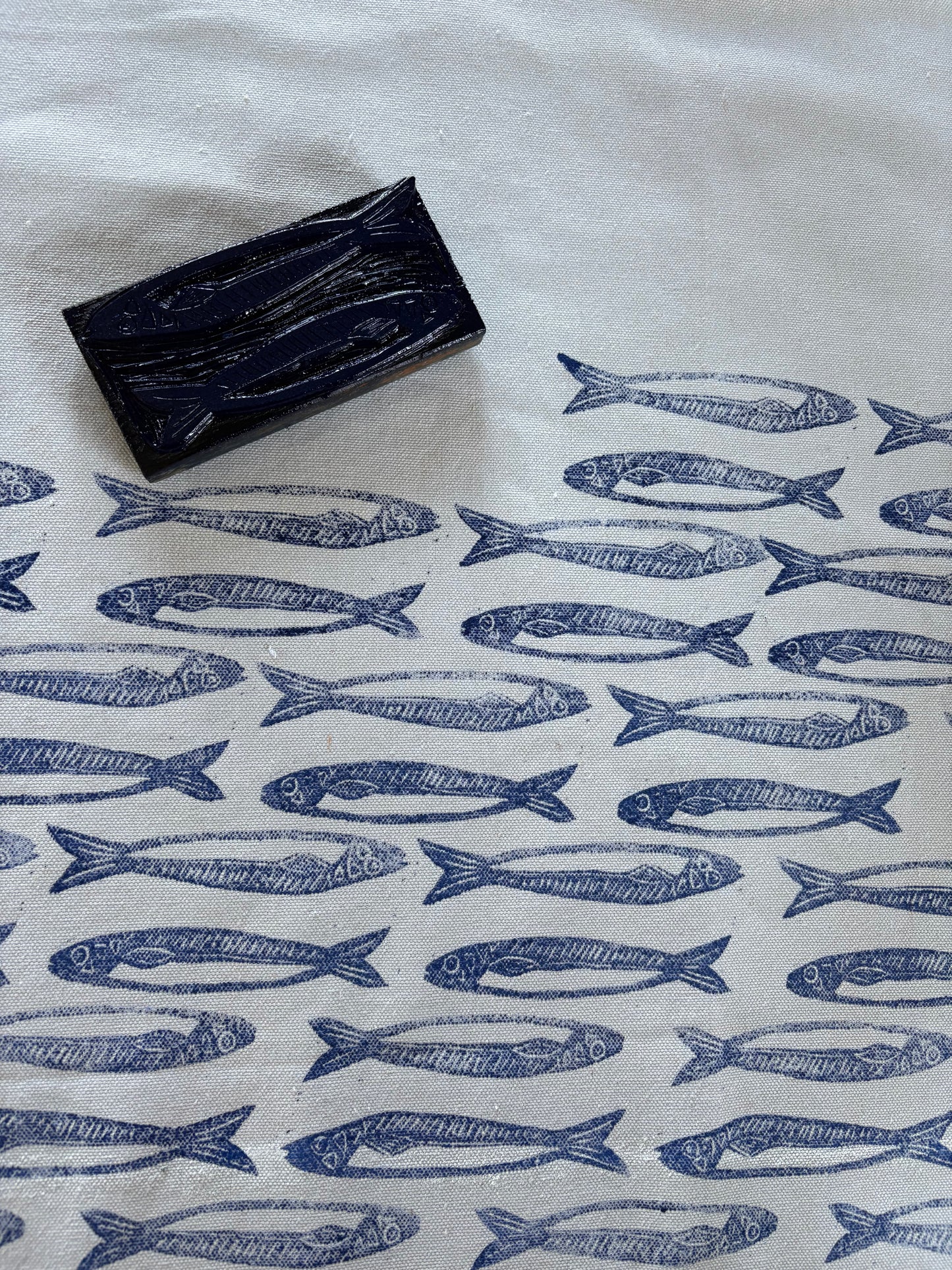 Sardine Run Fishermen